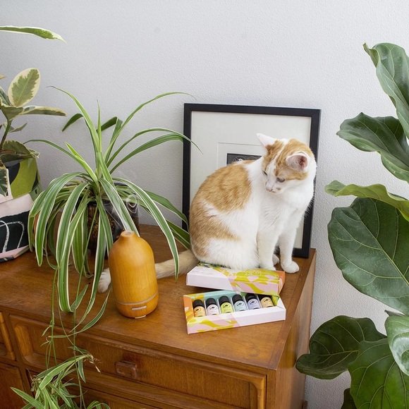 Wooden Ultrasonic Diffuser - Sparoom - Picture 15 of 17